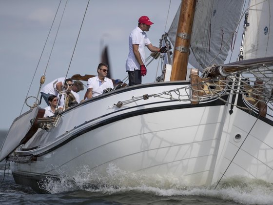 lemsteraak Wadwaai zeilend IMG_1735.jpg